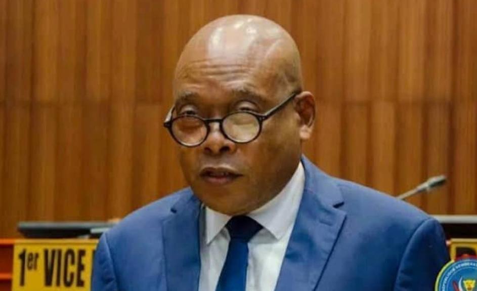 Steve Mbikayi plaide pour une consultation populaire en vue d'une nouvelle Constitution en RDC